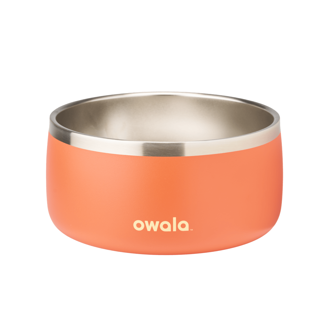 Pet Bowl A0