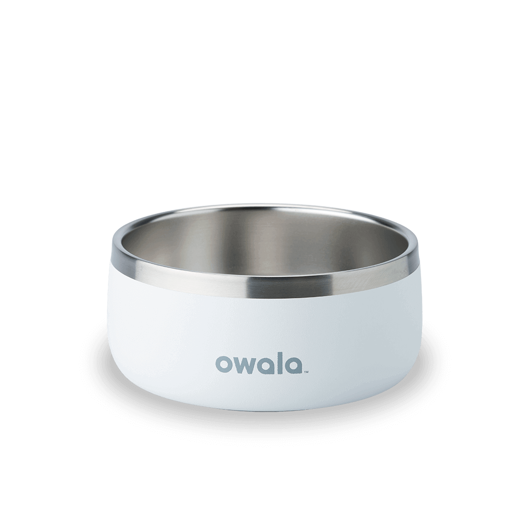 Pet Bowl A0