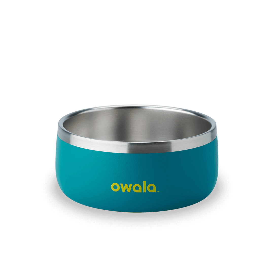 Pet Bowl A0