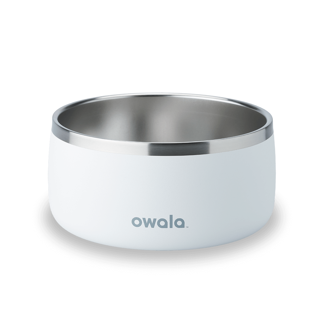 Pet Bowl A0